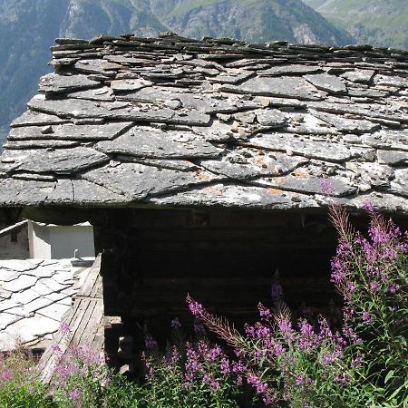 Alpia 26 - Zwei Zimmerwohnung In Traditionellem Walliser Haus Gasenried 외부 사진