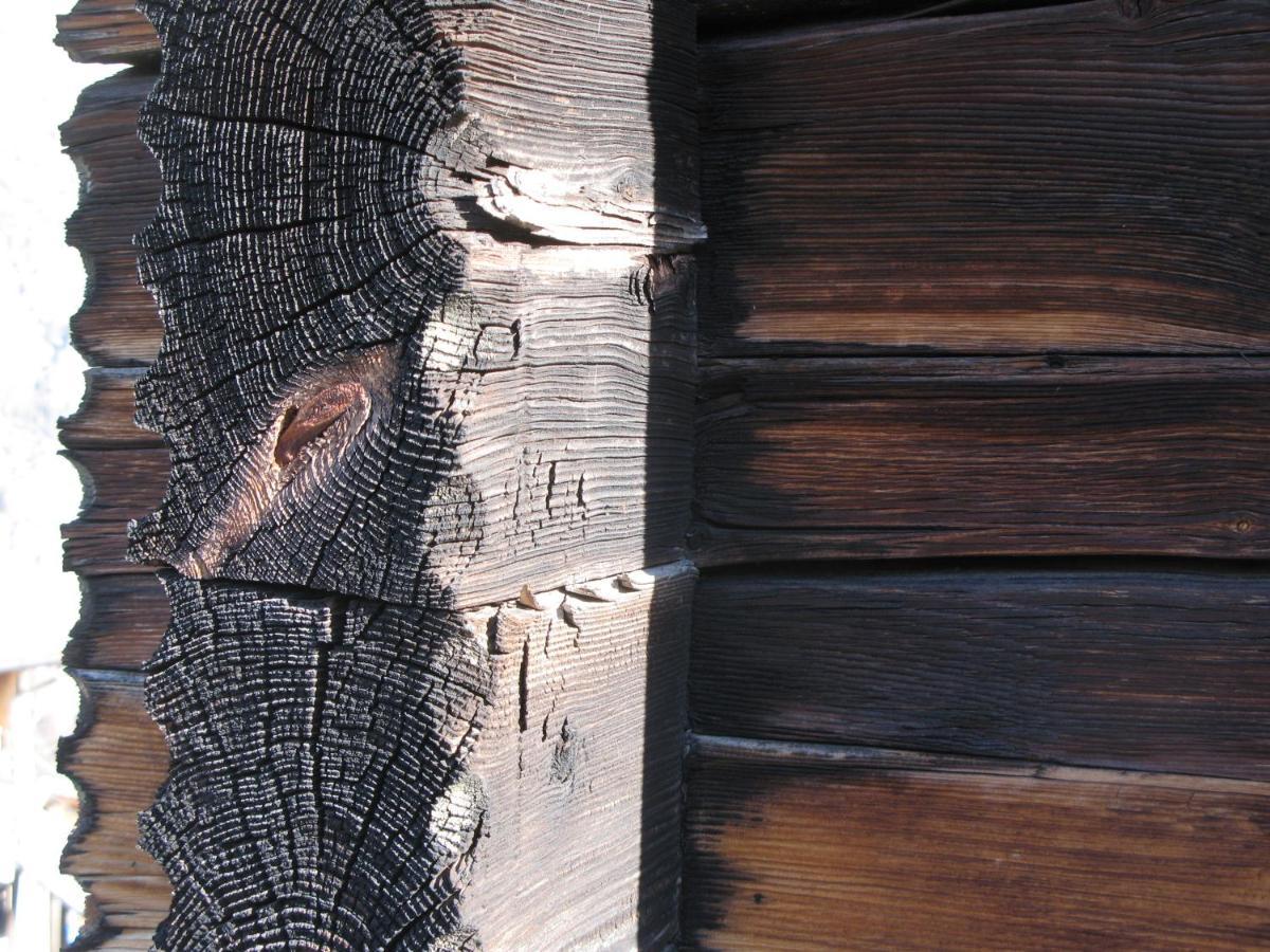 Alpia 26 - Zwei Zimmerwohnung In Traditionellem Walliser Haus Gasenried 외부 사진