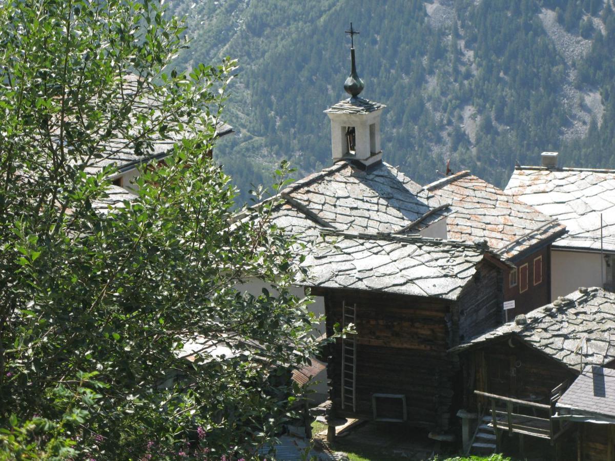Alpia 26 - Zwei Zimmerwohnung In Traditionellem Walliser Haus Gasenried 외부 사진