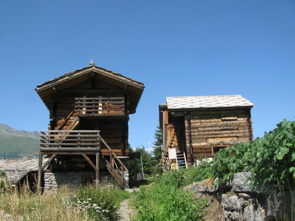 Alpia 26 - Zwei Zimmerwohnung In Traditionellem Walliser Haus Gasenried 외부 사진